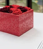 Victoria Dome - Dekoráció / Növény - Le Petit Jardin - Desire - Square Box (M)