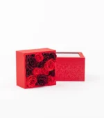 Victoria Dome - Dekoráció / Növény - Le Petit Jardin - Desire - Square Box (M)