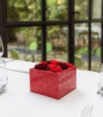 Victoria Dome - Dekoráció / Növény - Le Petit Jardin - Desire - Square Box (M)