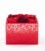 Victoria Dome - Dekoráció / Növény - Le Petit Jardin - Desire - Square Box (M)