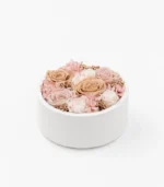 Victoria Dome - Dekoráció / Növény - Le Petit Jardin 'M' - Grace - Round Box