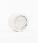Victoria Dome - Dekoráció / Növény - Le Petit Jardin 'M' - Pure - Round Box