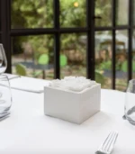 Victoria Dome - Dekoráció / Növény - Le Petit Jardin 'M' - Pure - Square Box