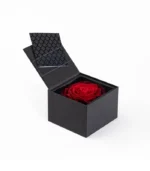 Victoria Dome - Dekoráció / Kiegészítők - My Beauty (M) rózsa díszdobozban