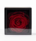 Victoria Dome - Dekoráció / Kiegészítők - My Beauty (M) rózsa díszdobozban