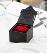 Victoria Dome - Dekoráció / Kiegészítők - My Beauty (M) rózsa díszdobozban