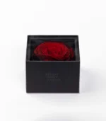 Victoria Dome - Dekoráció / Kiegészítők - My Beauty (M) rózsa díszdobozban