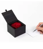 Victoria Dome - Dekoráció / Kiegészítők - My Beauty (M) rózsa díszdobozban