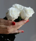 Victoria Dome - Standard rózsa csokor (50cm)