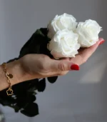 Victoria Dome - Standard rózsa csokor (50cm)