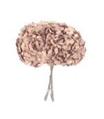 Victoria Dome - Dekoráció / Növény - Tartósított hortenzia