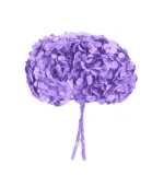 Victoria Dome - Dekoráció / Növény - Tartósított hortenzia