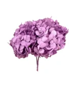 Victoria Dome - Dekoráció / Növény - Tartósított hortenzia