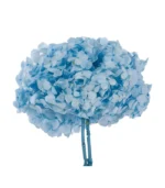 Victoria Dome - Dekoráció / Növény - Tartósított hortenzia