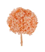 Victoria Dome - Dekoráció / Növény - Tartósított hortenzia