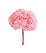 Victoria Dome - Dekoráció / Növény - Tartósított hortenzia