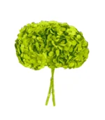 Victoria Dome - Dekoráció / Növény - Tartósított hortenzia