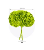 Victoria Dome - Dekoráció / Növény - Tartósított hortenzia