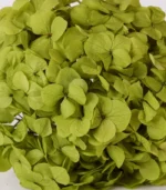 Victoria Dome - Dekoráció / Növény - Tartósított hortenzia