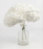 Victoria Dome - Dekoráció / Növény - Tartósított hortenzia