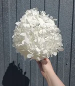 Victoria Dome - Dekoráció / Növény - Tartósított hortenzia
