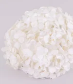 Victoria Dome - Dekoráció / Növény - Tartósított hortenzia