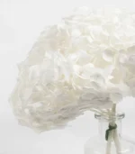 Victoria Dome - Dekoráció / Növény - Tartósított hortenzia