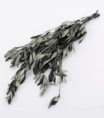 Victoria Dome - Dekoráció / Növény - Tartósított Olíva ágak