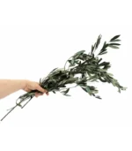 Victoria Dome - Dekoráció / Növény - Tartósított Olíva ágak