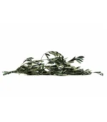 Victoria Dome - Dekoráció / Növény - Tartósított Olíva ágak