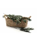 Victoria Dome - Dekoráció / Növény - Tartósított Olíva ágak