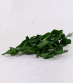 Victoria Dome - Dekoráció / Növény - Tartósított Ruscus ágak