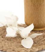 Victoria Dome - Dekoráció / Növény - Tartósított Ruscus ágak