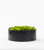 Victoria Dome - VD-Exclusive - 'Fresh' virágok dobozban
