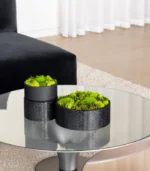 Victoria Dome - VD-Exclusive - 'Fresh' virágok dobozban