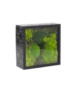 Victoria Dome - VD-Exclusive - 'Fresh' virágok dobozban