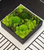 Victoria Dome - VD-Exclusive - 'Fresh' virágok dobozban