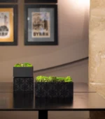 Victoria Dome - VD-Exclusive - 'Fresh' virágok dobozban