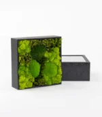 Victoria Dome - VD-Exclusive - 'Fresh' virágok dobozban