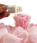 Victoria Dome - 'La Rose' illataroma