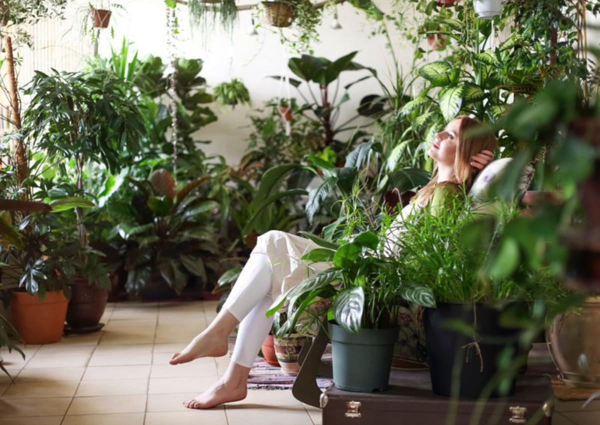 Biofilikus enteriőr – így vigyen természetet az otthonába - Victoria Dome Blog